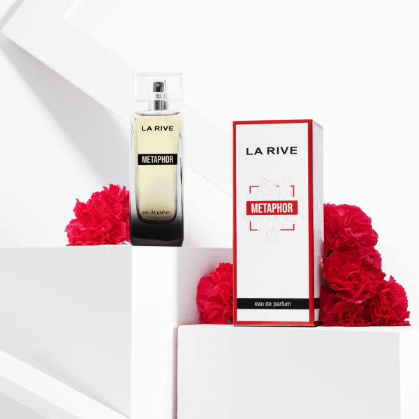 Metaphor Larive